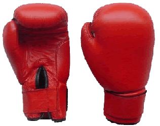 boxing-gloves.gif (25672 bytes)